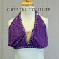 Plum Mesh Bra Top and Skirt Two-Piece Set - Rhinestones