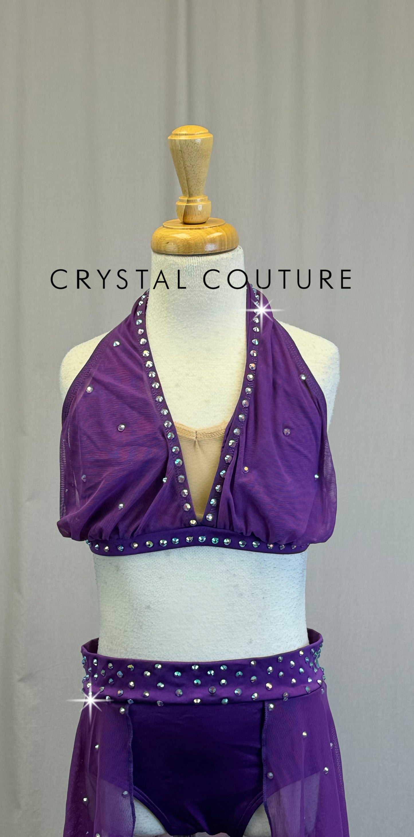 Plum Mesh Bra Top and Skirt Two-Piece Set - Rhinestones