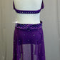 Plum Mesh Bra Top and Skirt Two-Piece Set - Rhinestones