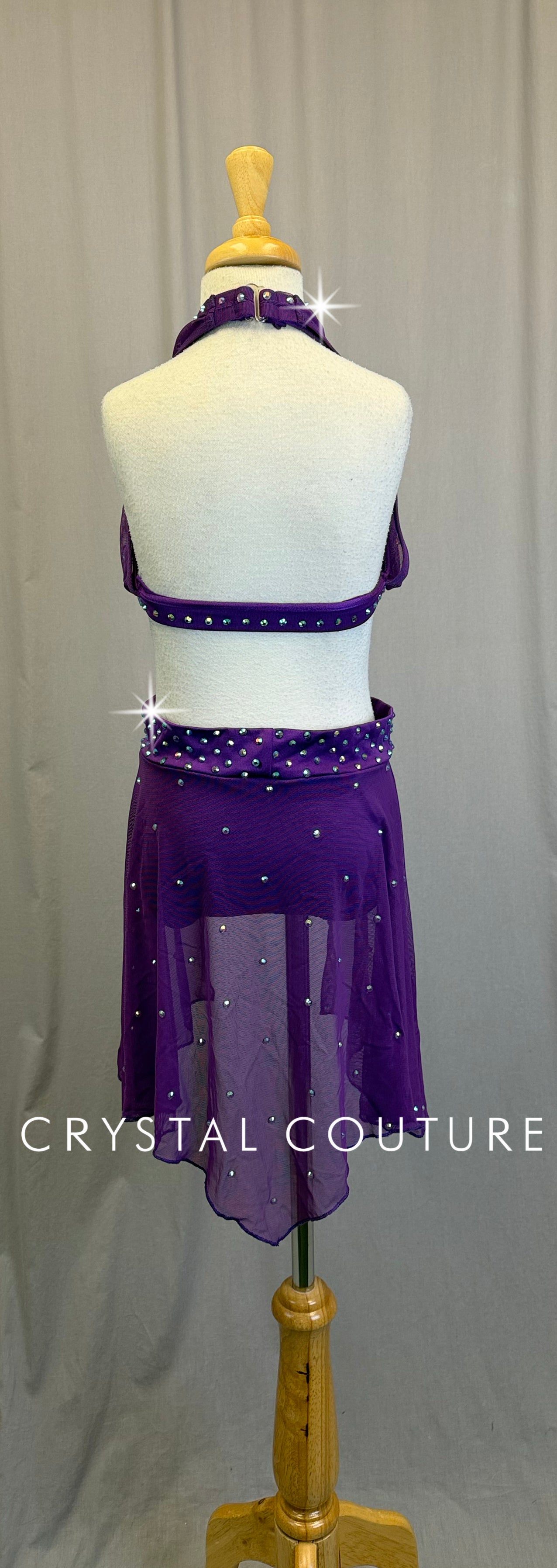 Plum Mesh Bra Top and Skirt Two-Piece Set - Rhinestones