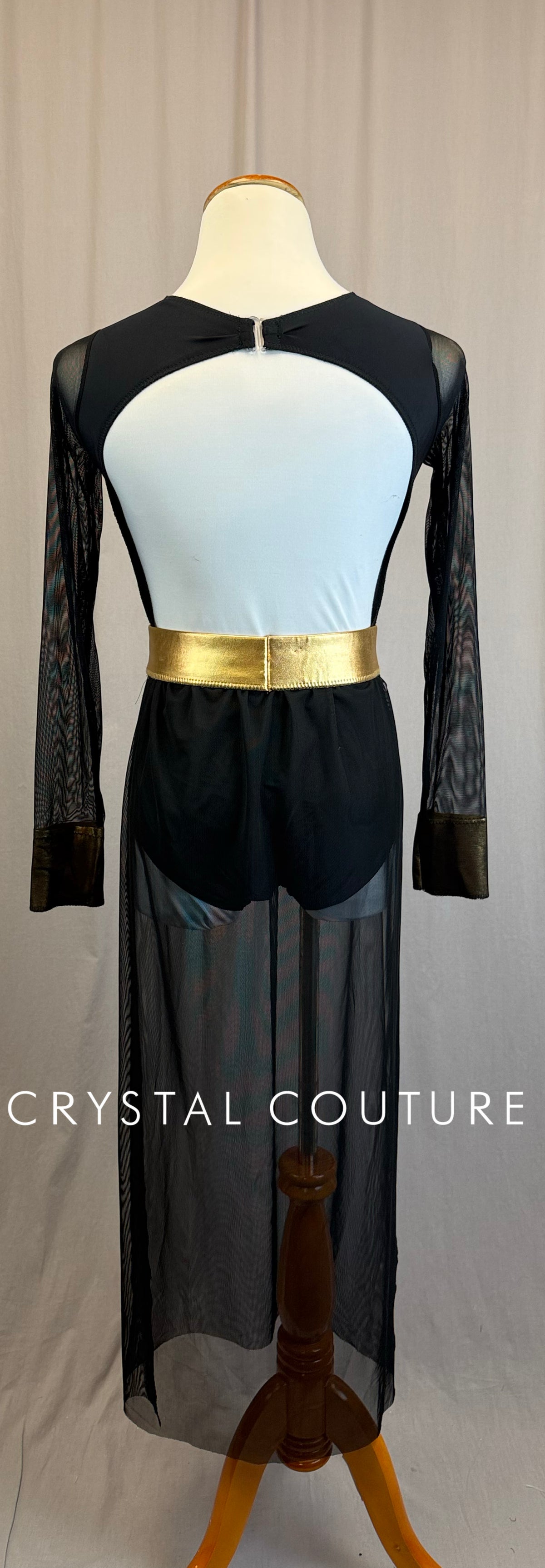 *Custom* Black and Gold Striped Long Sleeve Mesh Leotard with Skirt