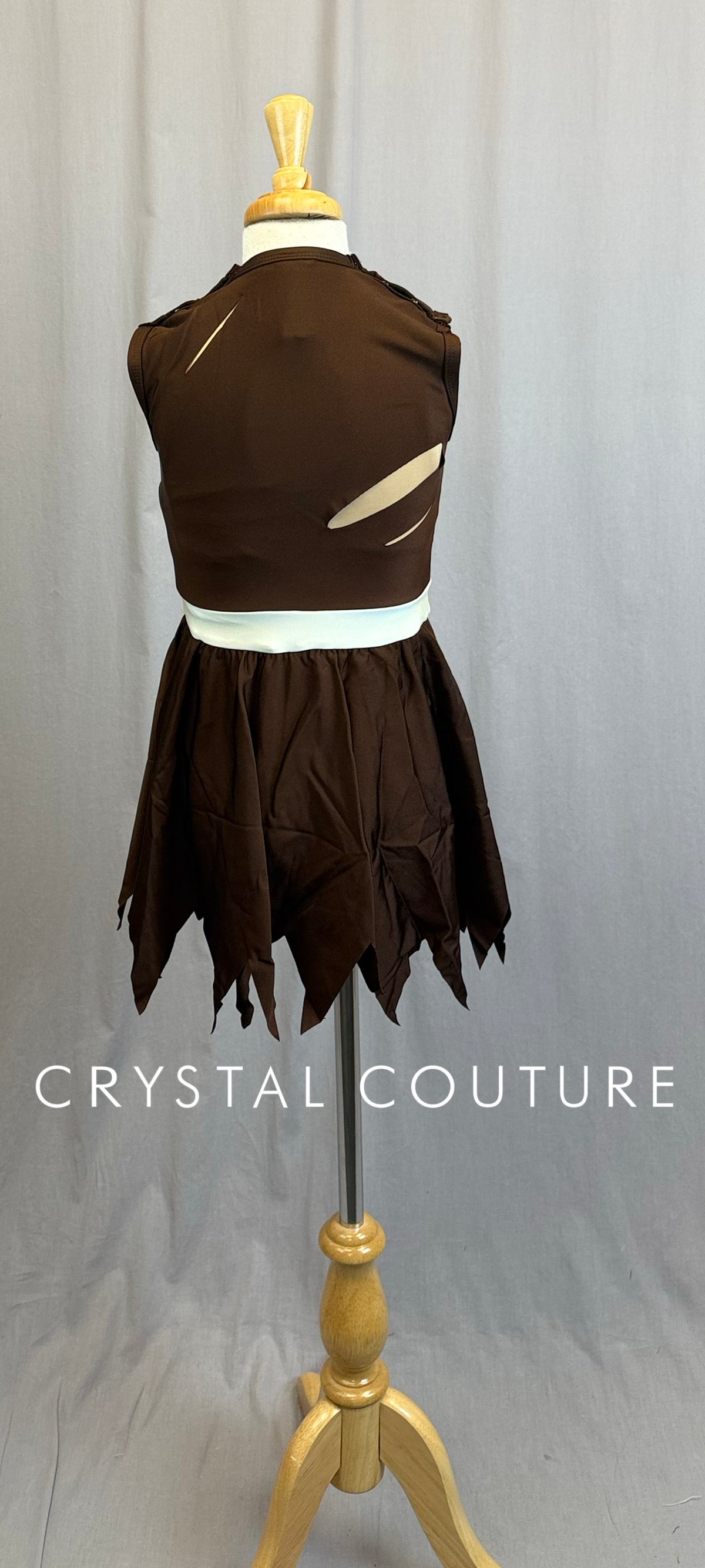*Cinderella* Inspired "Rags to Riches" Transition Dress