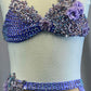 Custom Stunning Lilac and Nude Bra Top and High Waisted Brief with Lilac Back Skirt - Rhinestones