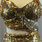 Custom Gold & Silver Connected Bra Top 2 Piece with Sequined and Beaded Fringe Skirt