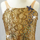 Brown and Nude Dress with Shimmery Gold/Ivory Leotard - Swarovski Rhinestones