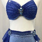 Blue Ombre 2pc Bra-Top with Brief/Tendril Skirt - Swarovski Rhinestones